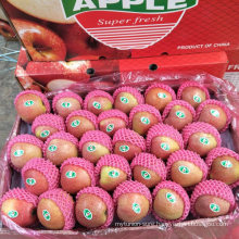 Fresh Unbagged Qinguan Apple Factory From China